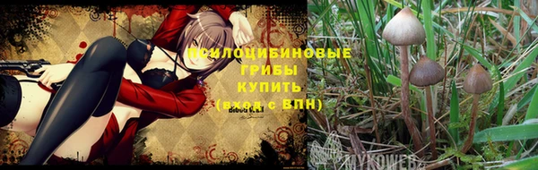 скорость Няндома